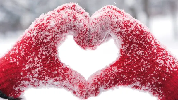 cmfml2e2eet8z08w8ztvdf9ui